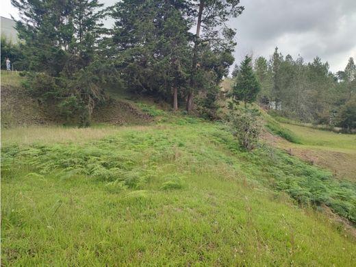 Terreno - Rionegro, Departamento de Antioquia