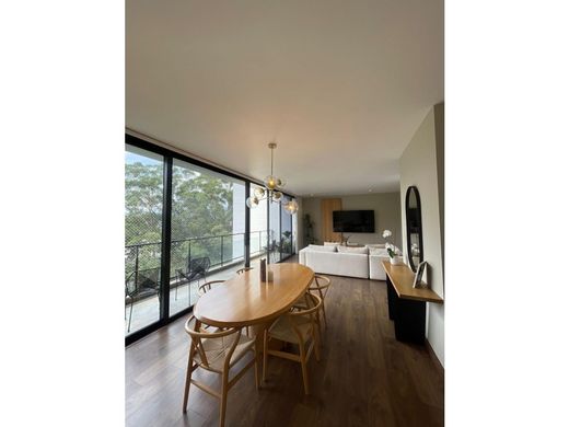 دوبلكس ﻓﻲ ميديلين, Medellín