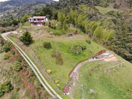 ‏קרקע ב  El Peñol, Yarumal