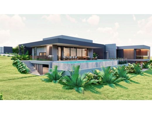 호화 저택 / Pereira, Departamento de Risaralda