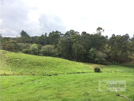 村舍/农舍  Rionegro, Departamento de Antioquia