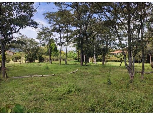 토지 / La Ceja, Departamento de Antioquia