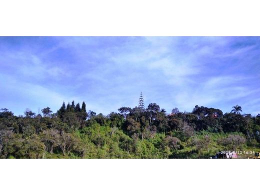 Grundstück in Rionegro, Departamento de Antioquia