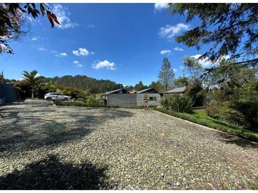 Gospodarstwo w Envigado, Departamento de Antioquia