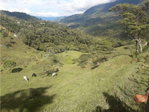 村舍/农舍  Cocorná, Departamento de Antioquia