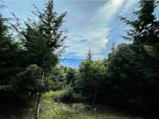 ‏קרקע ב  מדיין
, Medellín