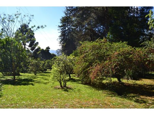 Участок, La Ceja, Departamento de Antioquia