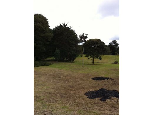 地皮  Rionegro, Departamento de Antioquia