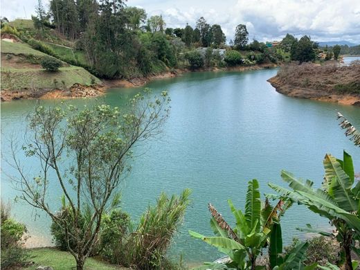 Farmhouse in El Peñol, Yarumal