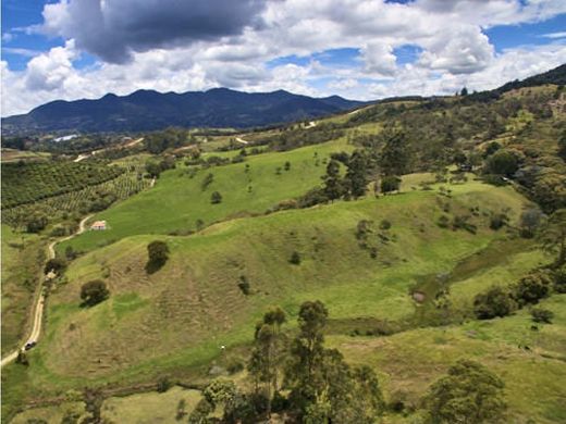 Terrain à Rionegro, Departamento de Antioquia