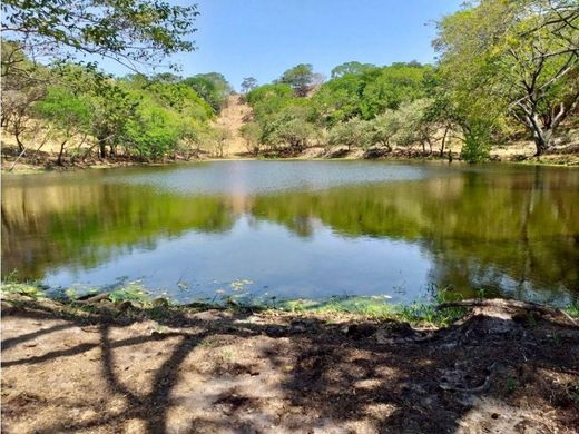 Farmhouse in Guayabal, Armero