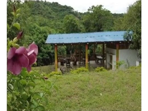 ‏בתים כפריים או חוות ב  La Mesa, Chaguaní