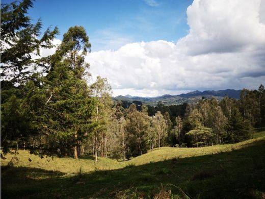 Terrain à Retiro, Departamento de Antioquia