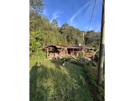 Teren w Rionegro, Departamento de Antioquia