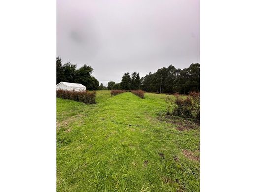 Land in El Rosal, Cundinamarca