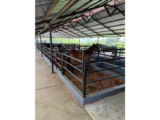 Terrain à Pereira, Departamento de Risaralda