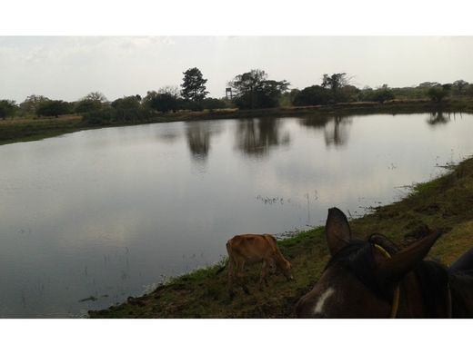 Farmhouse in Cartagena, Cartagena de Indias