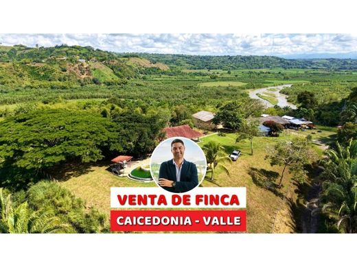 Ferme à Caicedonia, Departamento del Valle del Cauca