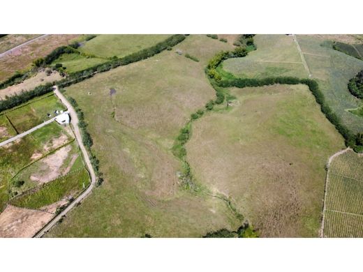 ‏קרקע ב  Pereira, Departamento de Risaralda