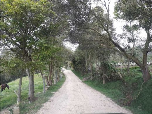 Farmhouse in Sibaté, Cundinamarca