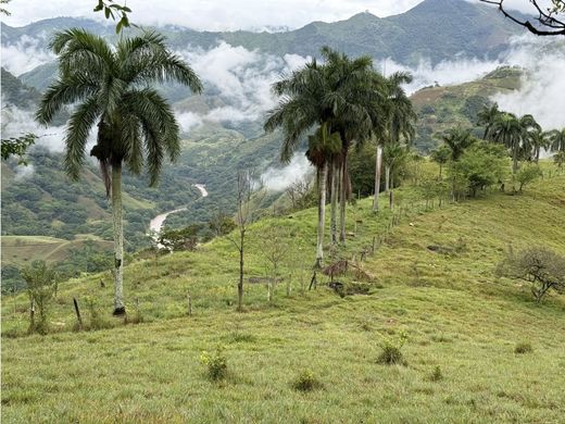 أرض ﻓﻲ Tarso, Departamento de Antioquia