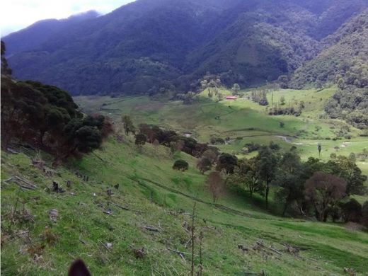 Ρουστίκ ή αγροικία σε Cajamarca, Departamento de Tolima