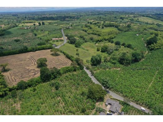 Ferme à La Tebaida, Quindío Department