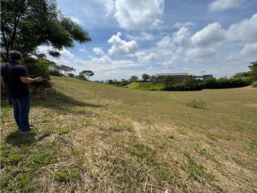 地皮  卡利, Cali