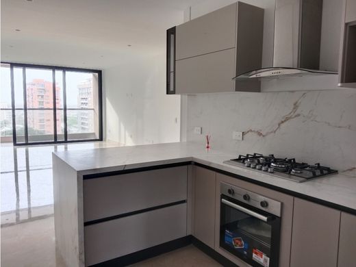 Daire Barranquilla, Departamento del Atlántico