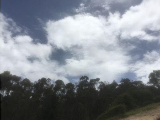 토지 / La Calera, Departamento de Cundinamarca