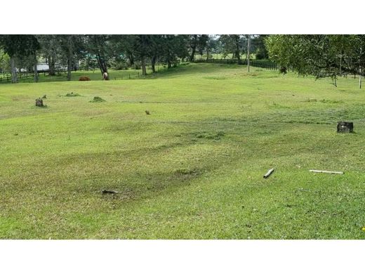 Αγροτεμάχιο σε Retiro, Departamento de Antioquia