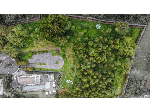 ‏קרקע ב  מדיין
, Medellín