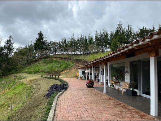 Rustik ya da çiftlik Rionegro, Departamento de Antioquia