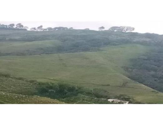 ﻣﻨﺰﻝ ﺭﻳﻔﻲ/ ﺑﻴﺖ ﻤﺰﺭﻋﺔ ﻓﻲ Villamaría, Departamento de Caldas