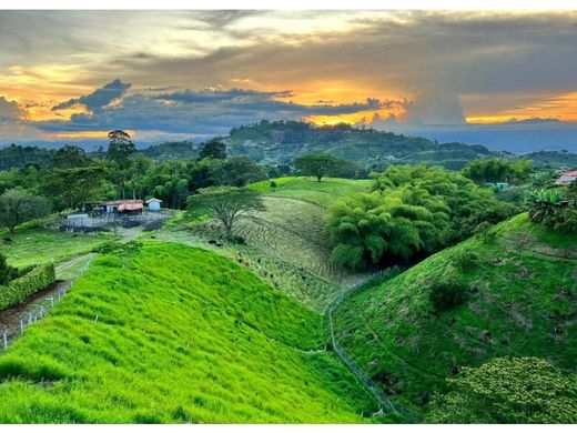 Ξενοδοχείο σε Pereira, Departamento de Risaralda