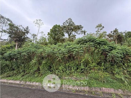 Terreno a Manizales, Departamento de Caldas