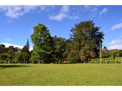 토지 / La Ceja, Departamento de Antioquia