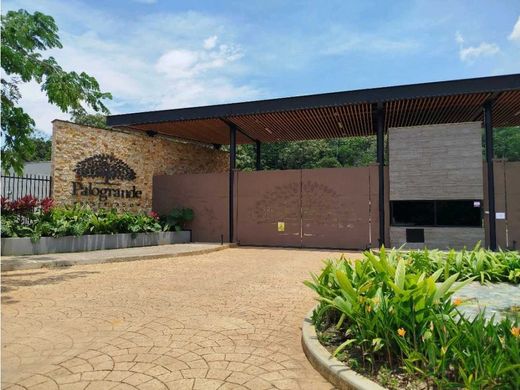 地皮  卡利, Cali