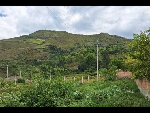 토지 / Iles, Departamento de Nariño