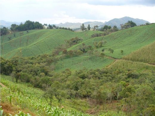 Grond in Medellín, Departamento de Antioquia