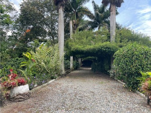 Ferme à La Tebaida, Quindío Department