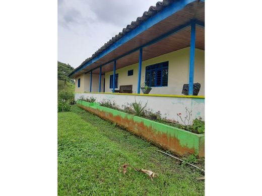 Farmhouse in Montenegro, Quindío Department