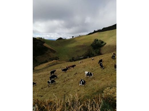 Subachoque, Departamento de Cundinamarcaのカントリー風またはファームハウス