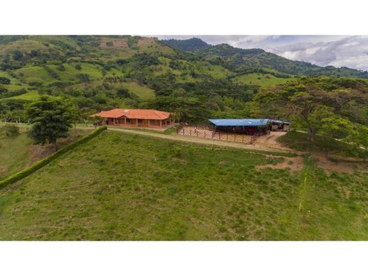 Cortijo o casa de campo en Obando, Departamento del Valle del Cauca