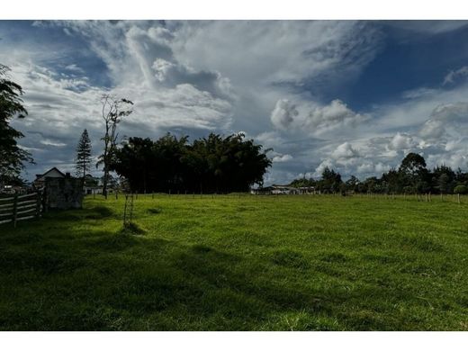 토지 / Rionegro, Departamento de Antioquia