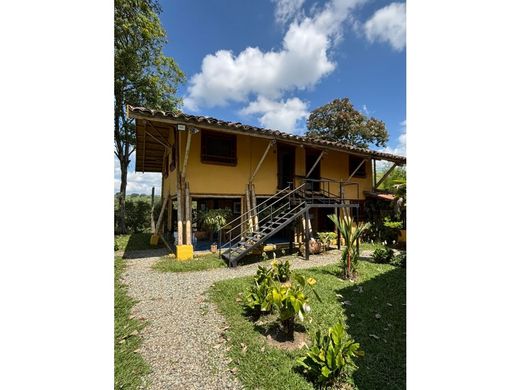 Hotel w La Tebaida, Quindío Department