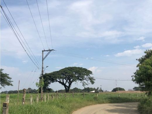 Arsa Candelaria, Departamento del Valle del Cauca