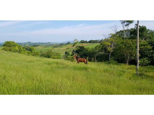 Gutshaus oder Landhaus in Puerto Berrío, Departamento de Antioquia