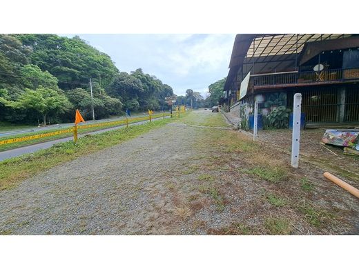 Land in Ibagué, Departamento de Tolima