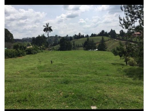 Land in Rionegro, Departamento de Antioquia